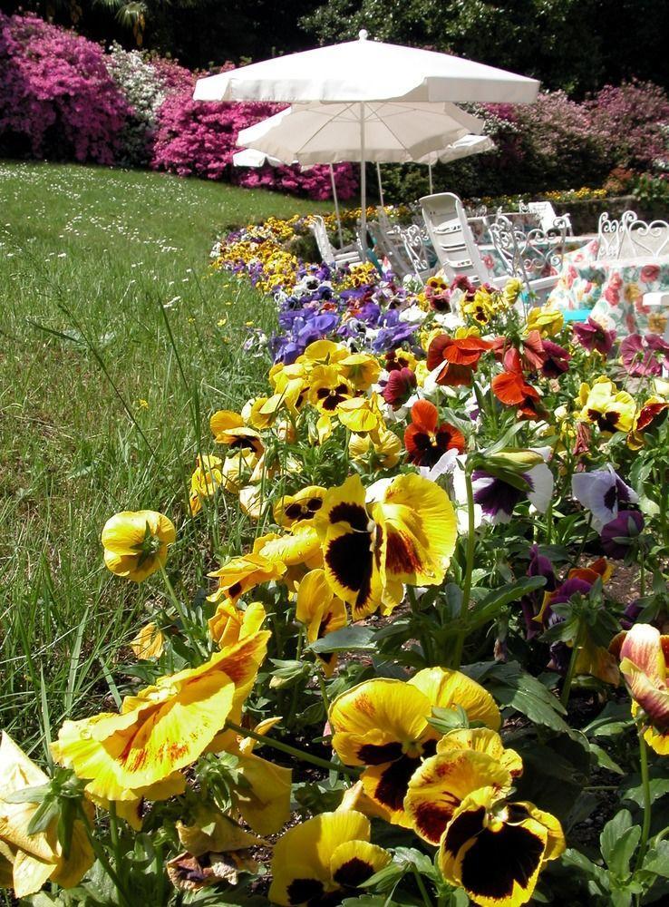 Du Parc Hotel Lake Maggiore Luaran gambar