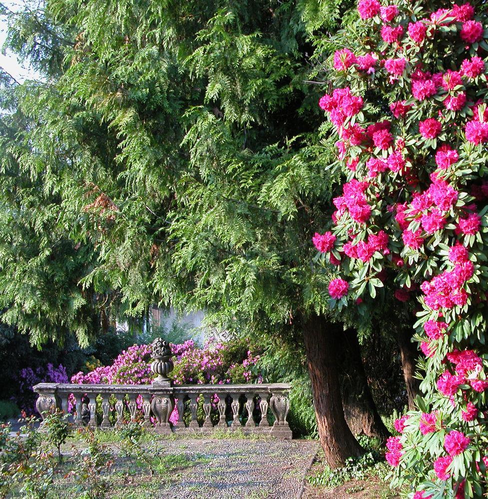 Du Parc Hotel Lake Maggiore Luaran gambar