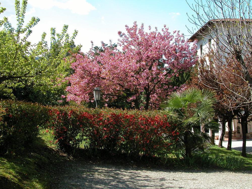 Du Parc Hotel Lake Maggiore Luaran gambar