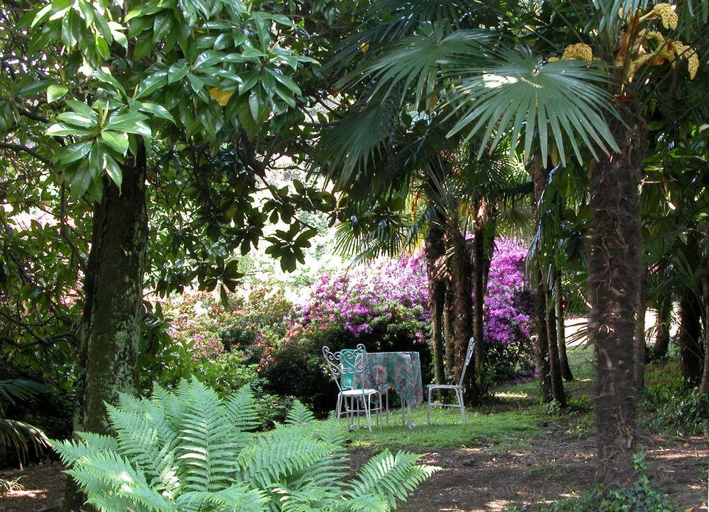 Du Parc Hotel Lake Maggiore Luaran gambar