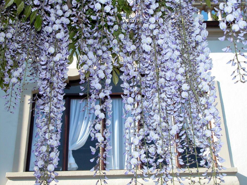 Du Parc Hotel Lake Maggiore Luaran gambar