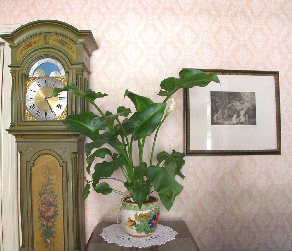 Du Parc Hotel Lake Maggiore Luaran gambar