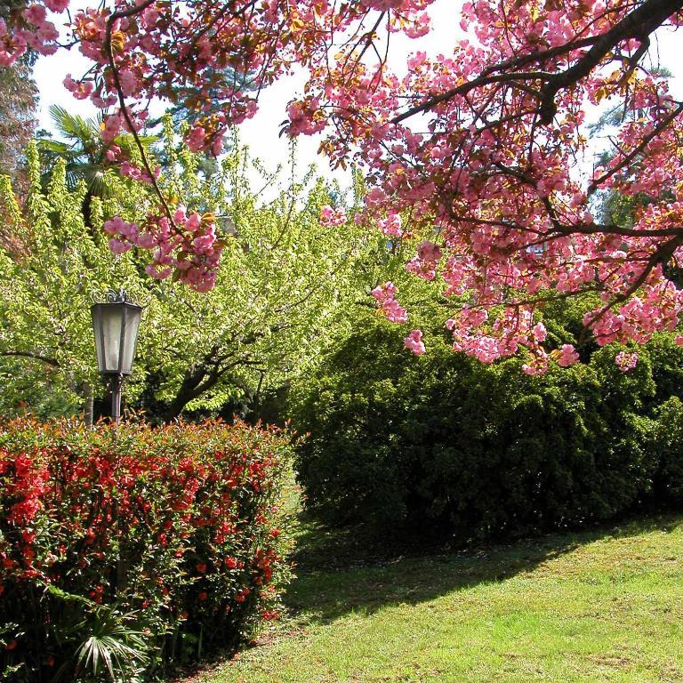 Du Parc Hotel Lake Maggiore Luaran gambar