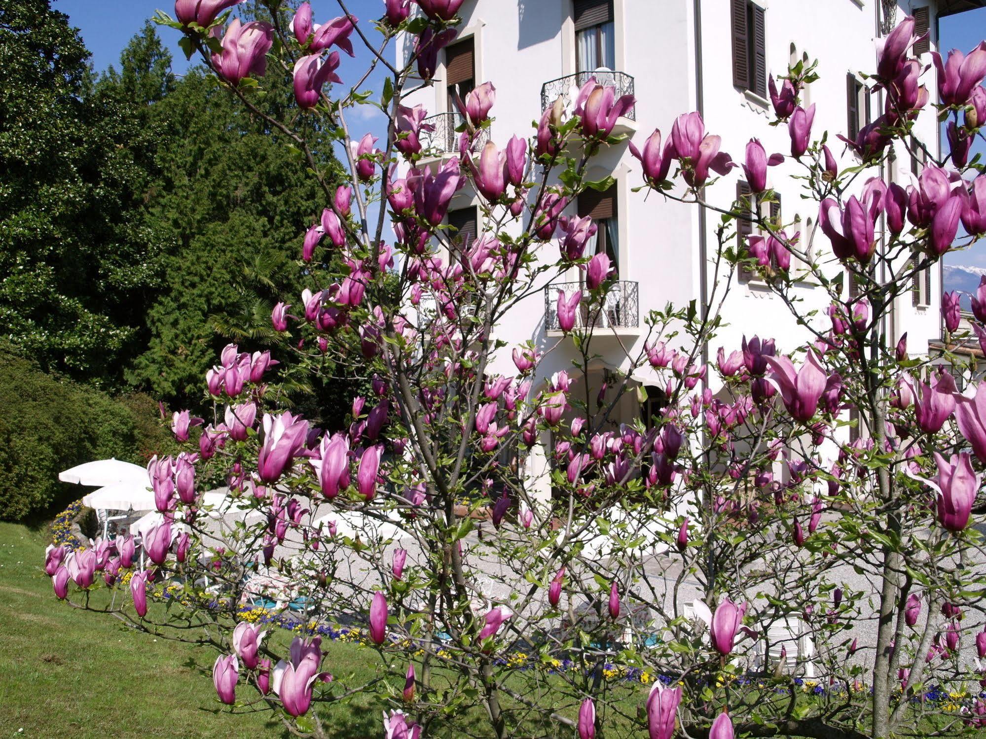 Du Parc Hotel Lake Maggiore Luaran gambar